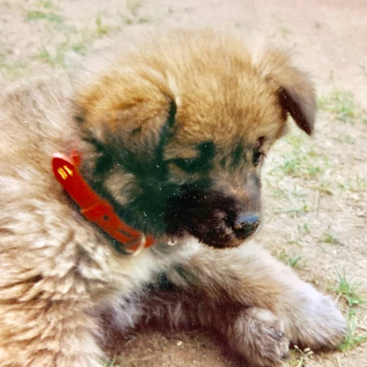 3fdbeeb9 8fa4 463c 9a51 ec10a2090501 1568589946751