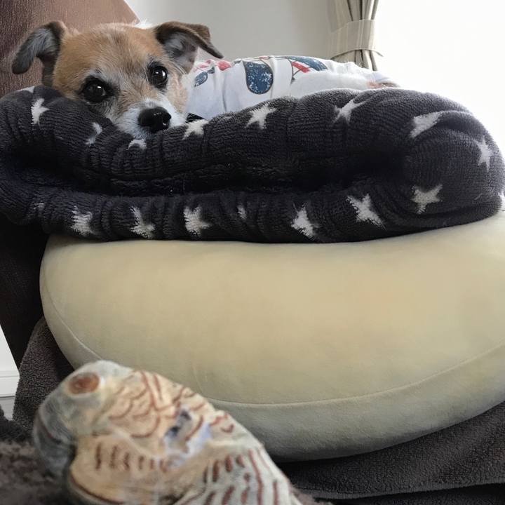 3fdbf641 92d1 489b b4e1 b59bee62140f 1589428814278