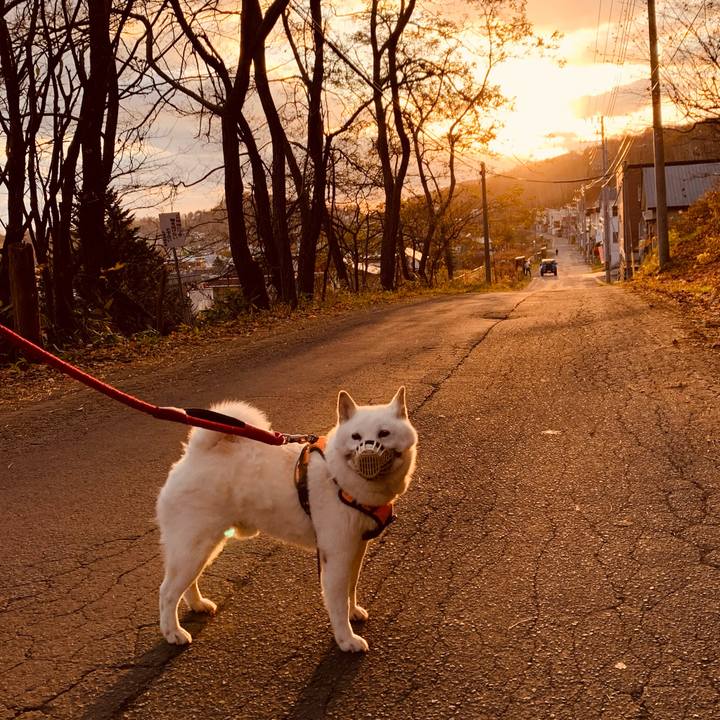 3fdc11c8 8b9f 4c0f 9d1c 7683365f3b24 1668118523638