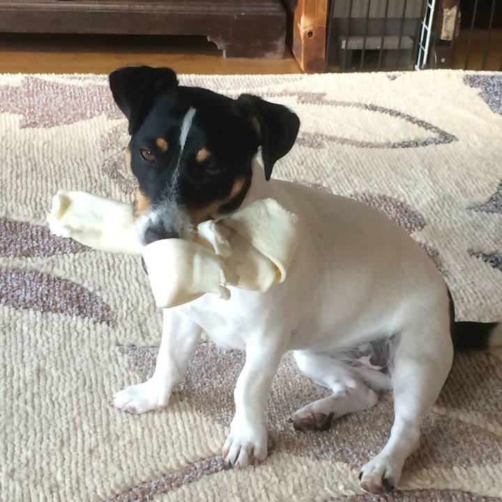 3fdc1692 9ce1 4f95 bede 83cd81ea2bcc 1541890855249