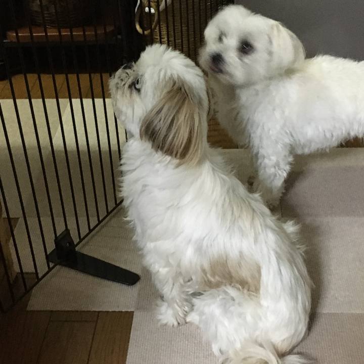 3fdc2d21 4a8e 49a6 8226 ed4b820da123 1579090641934