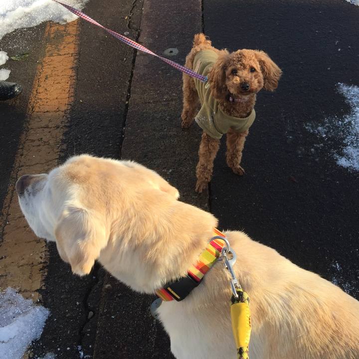 3fdc2d36 4e1c 4941 82a7 814907173e1e 1518565165697