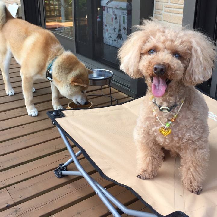 3fdc3712 0c88 4743 91fa 72b952ad4f23 1526274895917