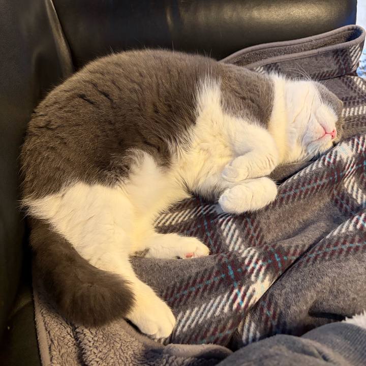 3fdc8c4b f17e 4c03 b38b 269752451ab1 1770894114645