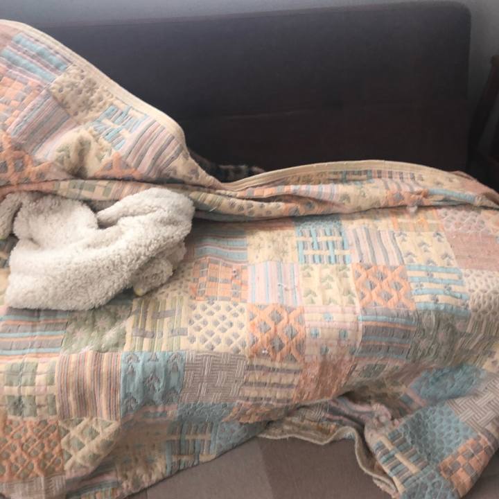 3fdcb8cf 3d15 4b6f a536 b37a8c292ff4 1570577441996