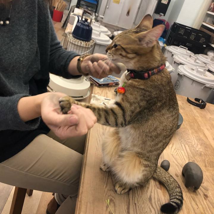 3fdcc693 ce4c 4cbe a4bd 81e449369c87 1606466056448