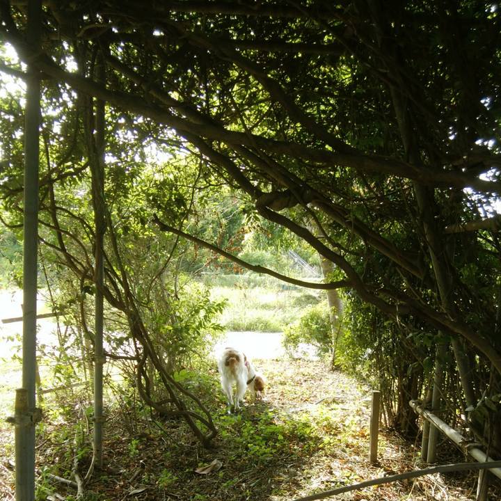 3fdd339b 62b0 4ffa 9b2d 81e34f2ef287 1535110458544