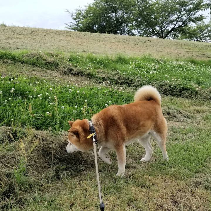 3fdd55b0 faa0 48a6 a506 eca46db4ca35 1624003560513