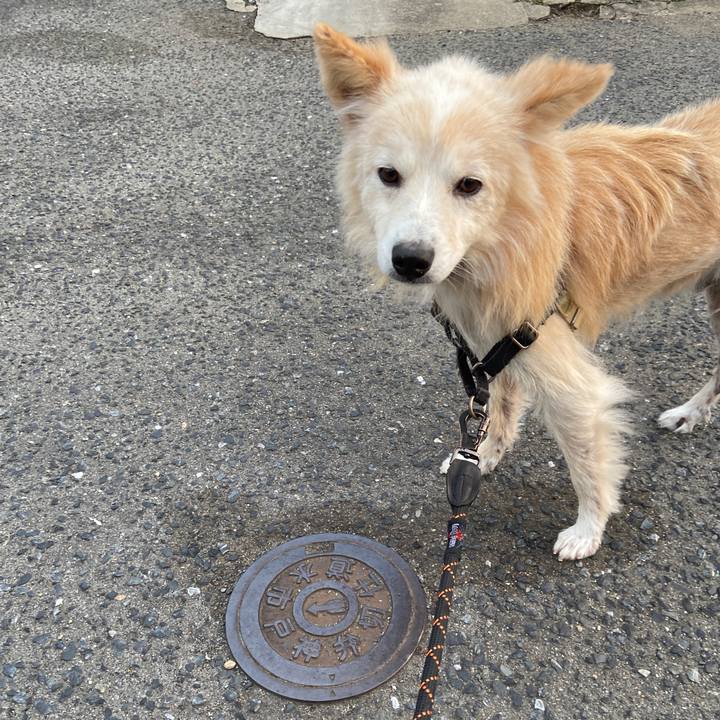 3fdd6db2 b044 4414 a495 1b11ce85b191 1646830532228