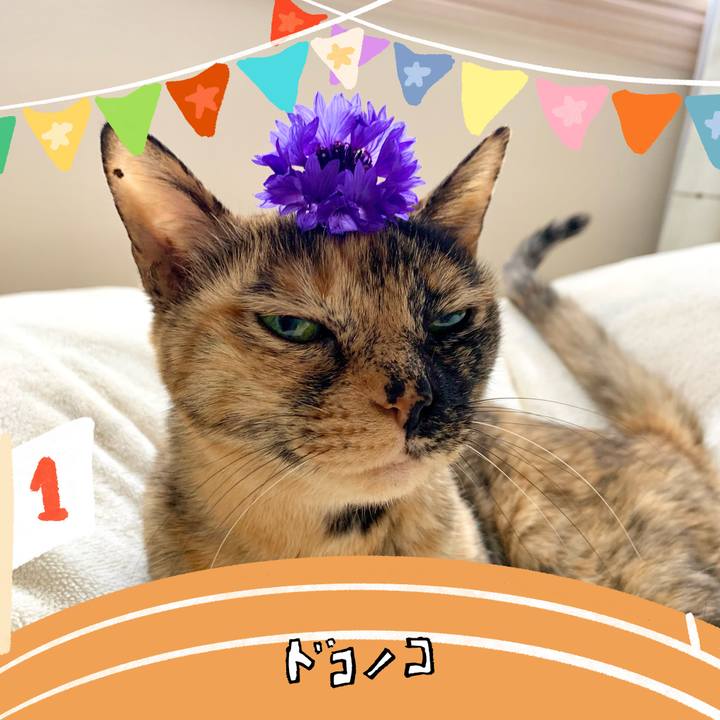 3fdde8cb 126b 45c5 b74a 8e1c194b7c9c 1761741557475