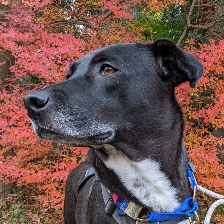 3fddf474 c03c 4b35 b5ac e81063ac3f30 1638840054449