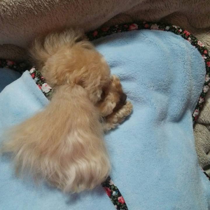 3fde0582 8fe4 46da 9772 ebee4fee02ad 1519998221103