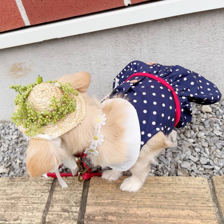 3fde0f83 19ec 4acd 88a0 fee18e0f16e8 1689330718285