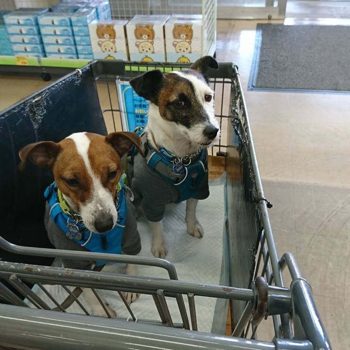 3fde2034 c5ea 4e33 9125 82b48fb56201 1552787544554