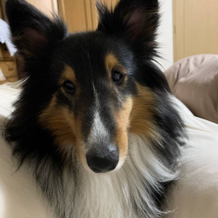 3fde5535 ff26 4592 af81 cf810554b336 1588687847125