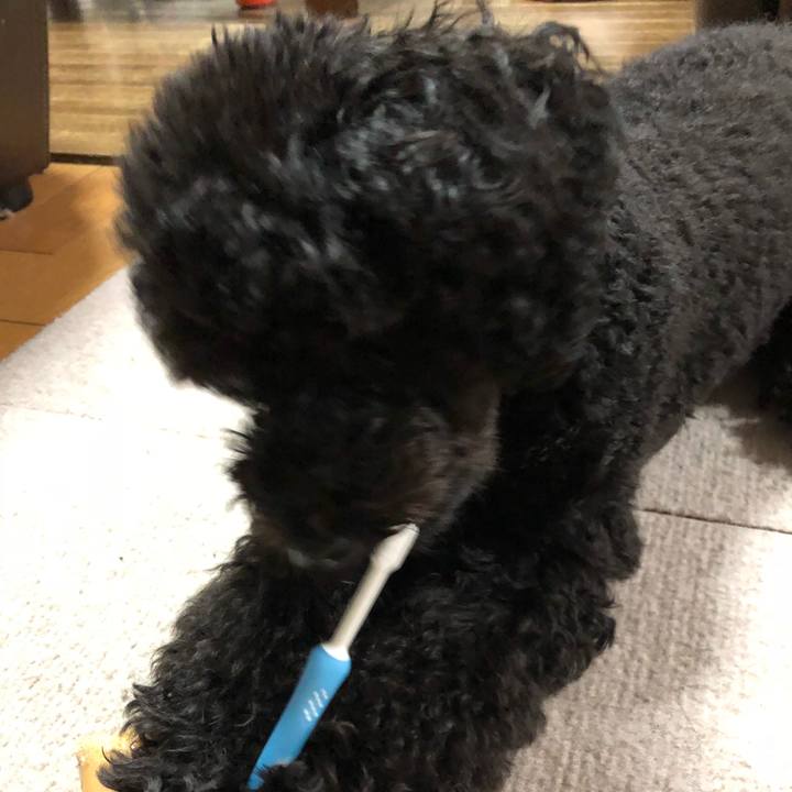 3fde68dc 7806 4daa 933b e0f2799f3c80 1541254334687