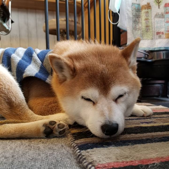 3fde7671 2cc4 4111 aaba 4ef025059e5f 1614124147662