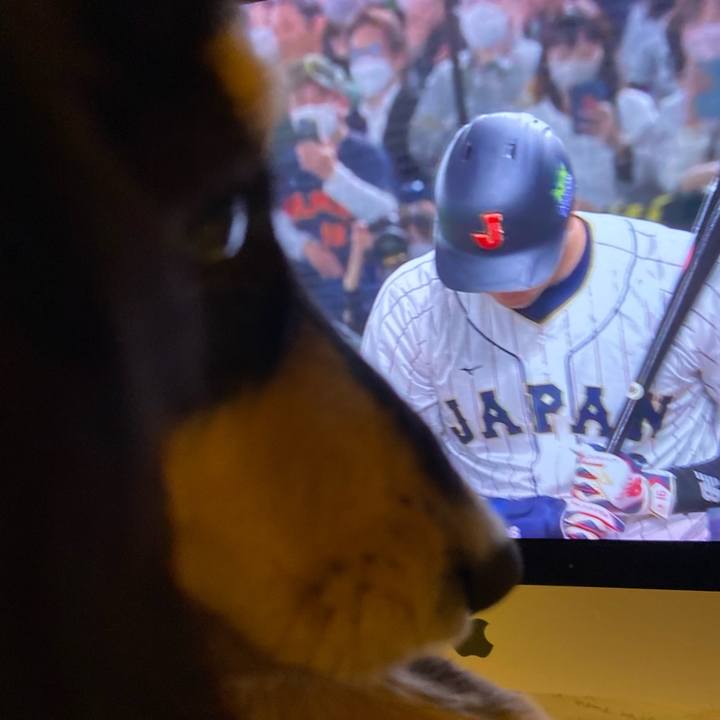 3fdebf31 f523 43bf bf8b f7050ea7ca29 1678367846729