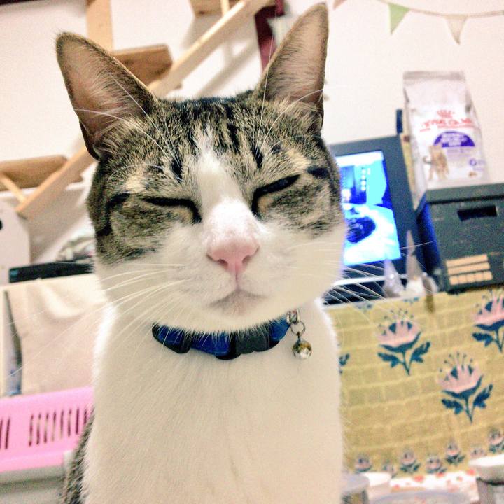 3fdec6b4 6204 481e 9660 7ad0a59909f6 1514731934903