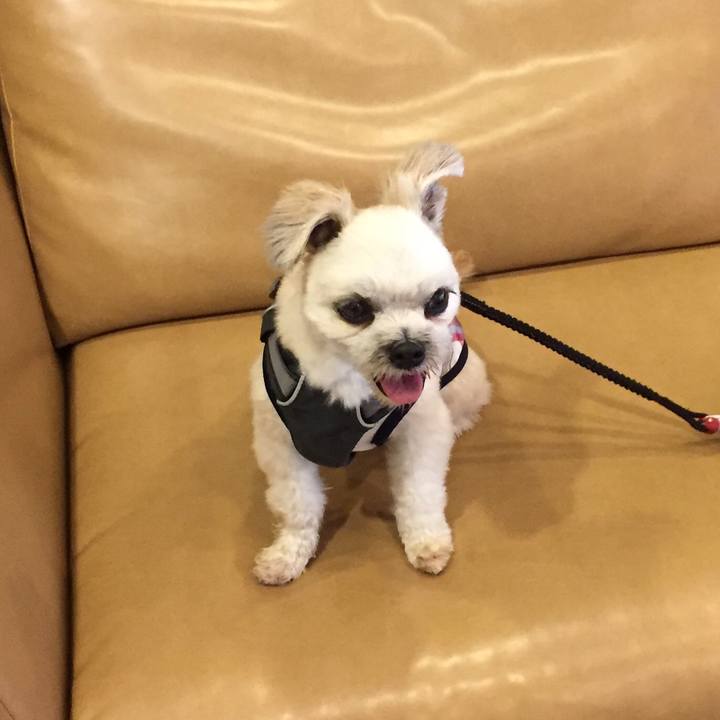 3fdf06ce bcaf 40cd 9b8d f8f0920ca570 1564791696843