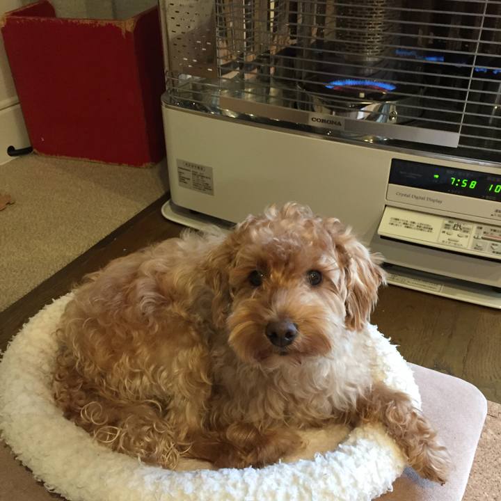 3fdf6a5e 1da1 4007 990b e89337b81604 1512082571504