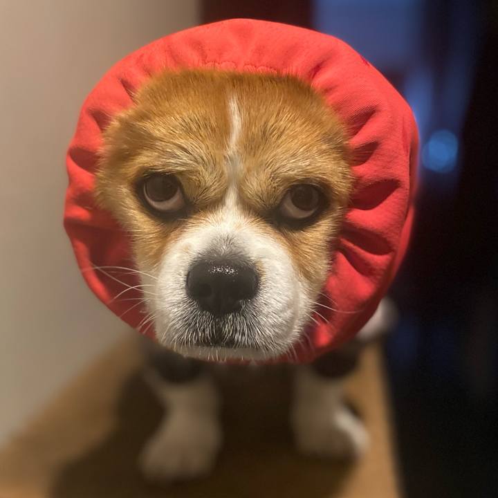 3fdf6fe0 a680 42a8 8b37 fc3abab49191 1708480747757