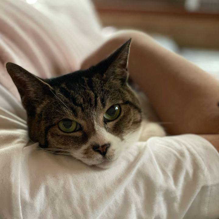 3fdf7cf3 d49d 4846 9a7c ca2a8faba09c 1653521530803