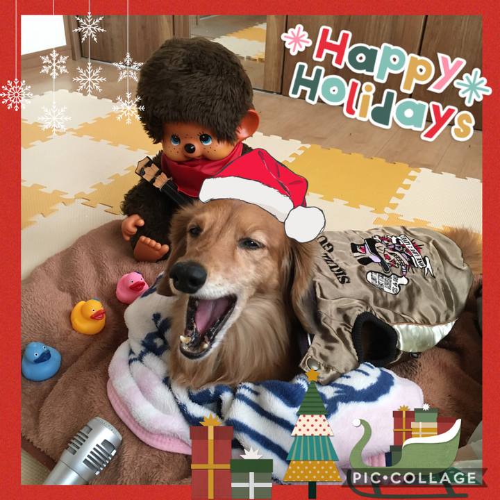 3fdf7fc5 751e 4730 9198 65c6d7f8e6ab 1608380762433