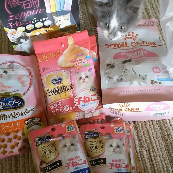 3fdf9074 d9b2 42f5 9063 b1e76674ff20 1562900685789