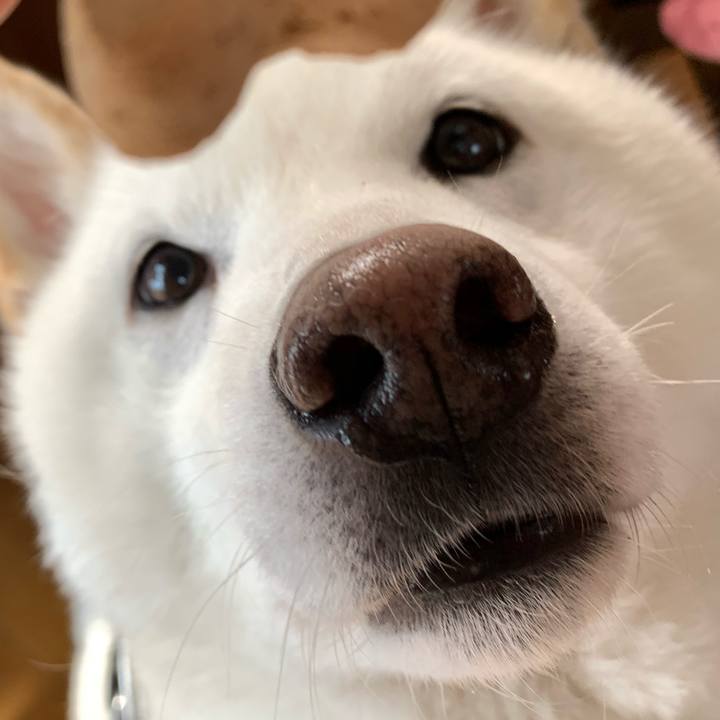 3fdfb8f6 0b66 4416 9bff a93afe1a4b5d 1613175173665