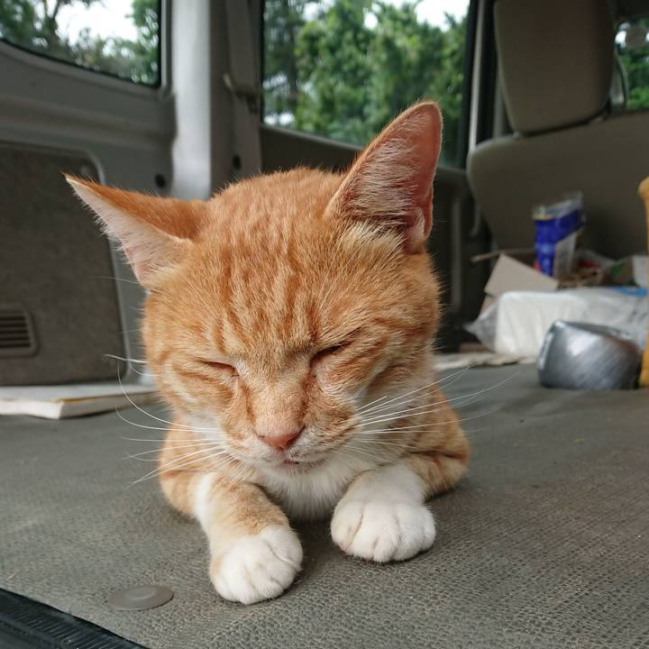 3fdfcf61 0aba 4f3d b08b d9cee6ccba8b 1595743524210