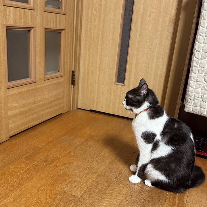 3fe039e3 201a 4bd2 a447 9797317d3ef4 1767175676033