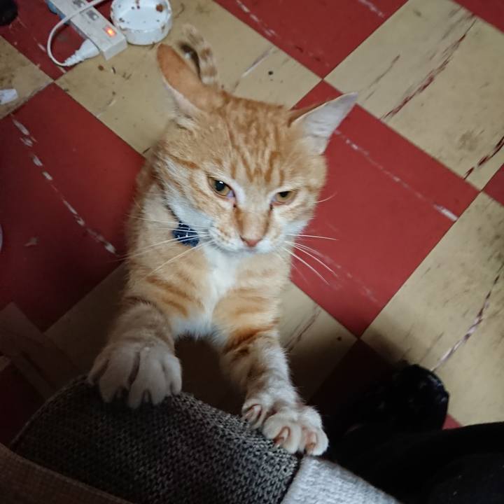 3fe03ec1 0eab 422b 8ac8 4b49d101ecc8 1560370870942