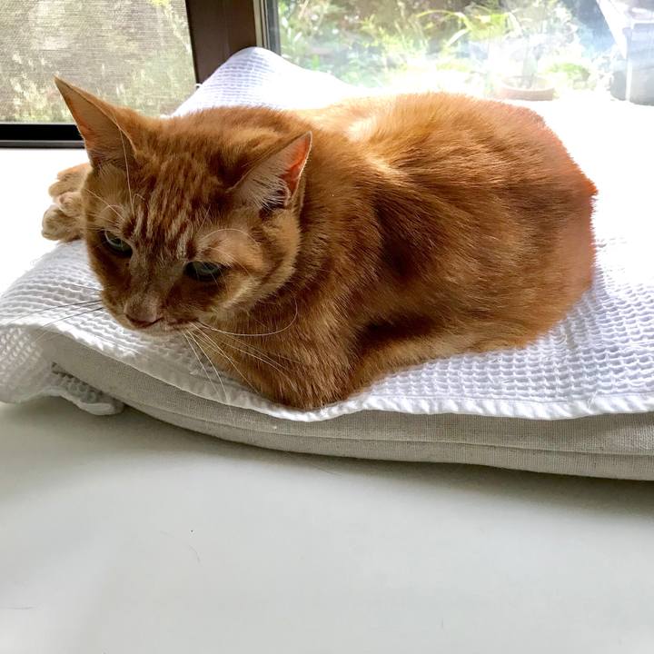 3fe064e2 f4f8 4d7f 8e99 5236a3ffad80 1570069802679