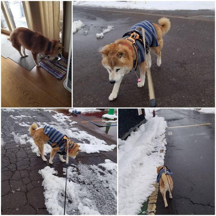 3fe07a25 d51e 4a47 978f 9bebc526bcca 1769657885743