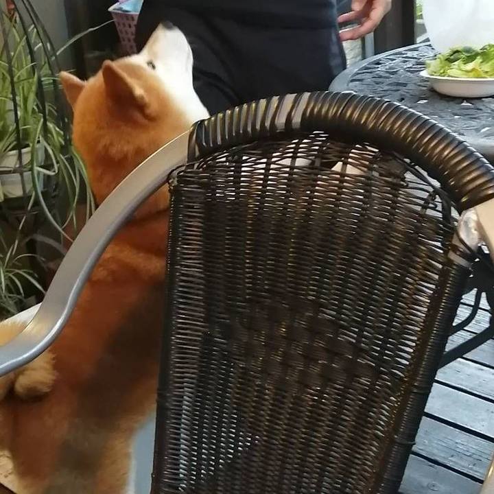 3fe0a38b 257d 44dc ad9c de7638fbb973 1590314847191