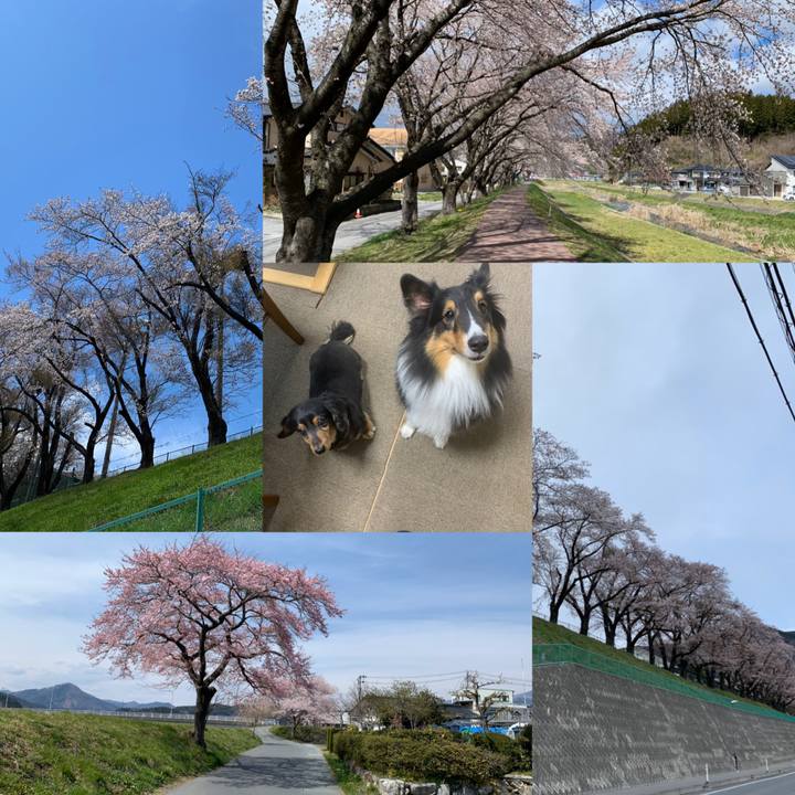 3fe0b204 e5df 4a40 8b8c 1d83c7df3c68 1586808658308