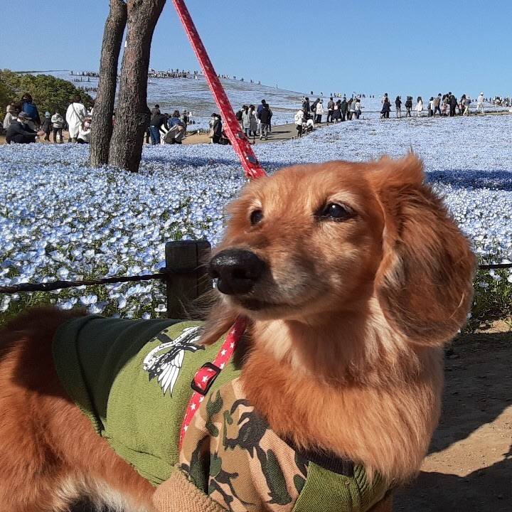 3fe0d9df 3bdc 497c 8fad 63d6e3475820 1619189536530