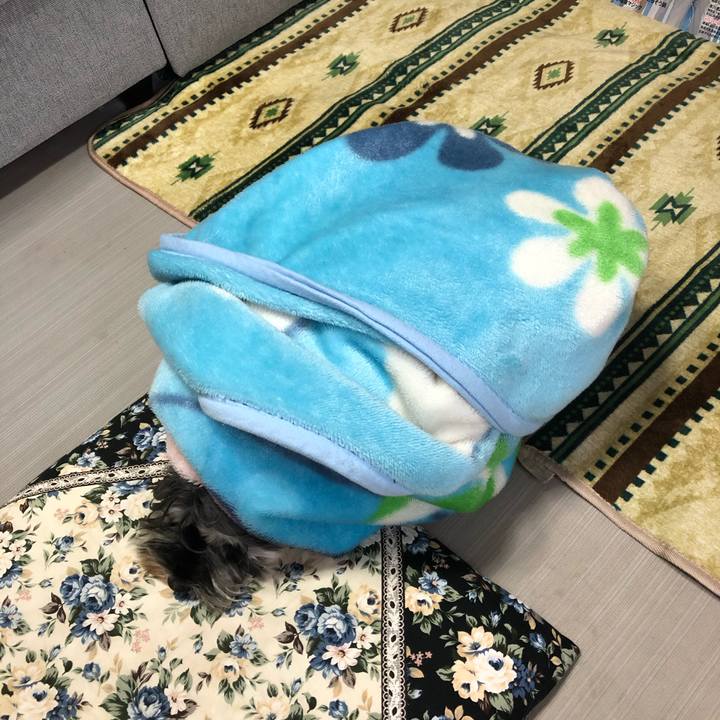 3fe0e5fb cf5d 4f25 a759 bc1d2a37373c 1610864287550