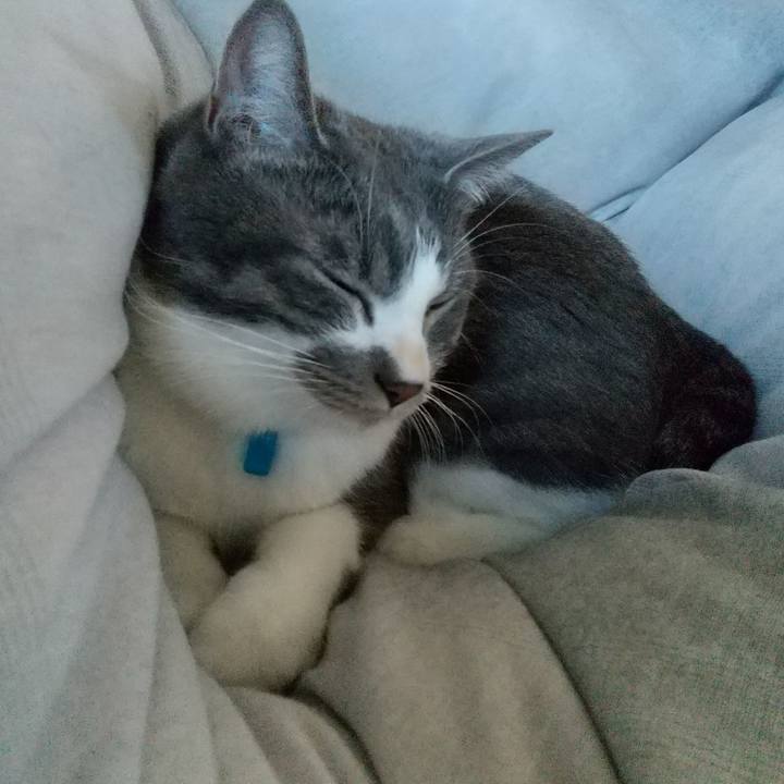 3fe117ae 1ae9 44f2 aad8 85019a9ddc9d 1607648179850