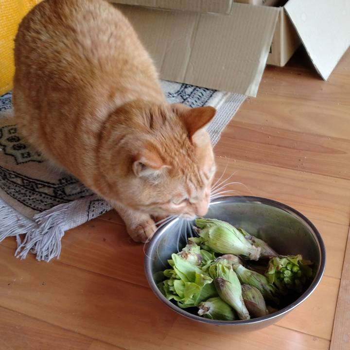 3fe13188 4d7e 4b58 b8c9 6d6000055f7b 1679382732064