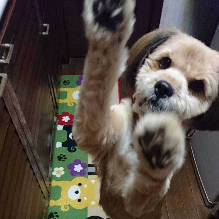 3fe155e2 7d6c 4cf6 b325 3e8ce572c491 1510570813267