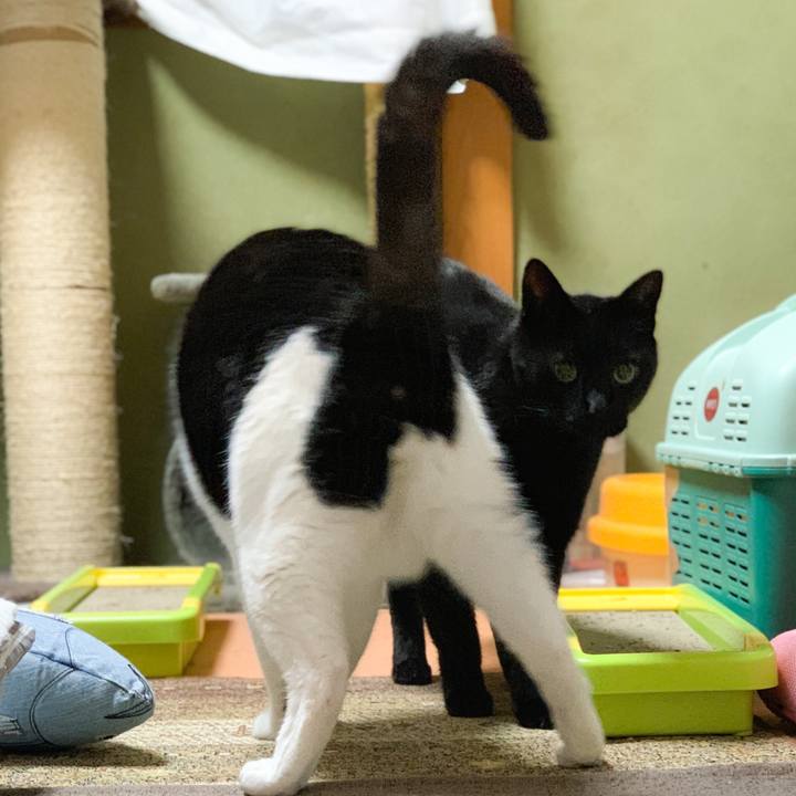 3fe16912 54fa 4104 8b5d 455492a51038 1580696030924