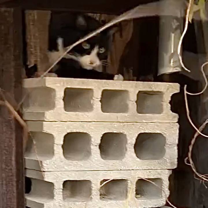 3fe171b9 56db 4a68 aa99 b4ae73372a60 1735024675978