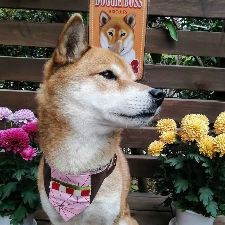 3fe227d5 3b0b 4253 b687 e6f337b0ceec 1606449971065