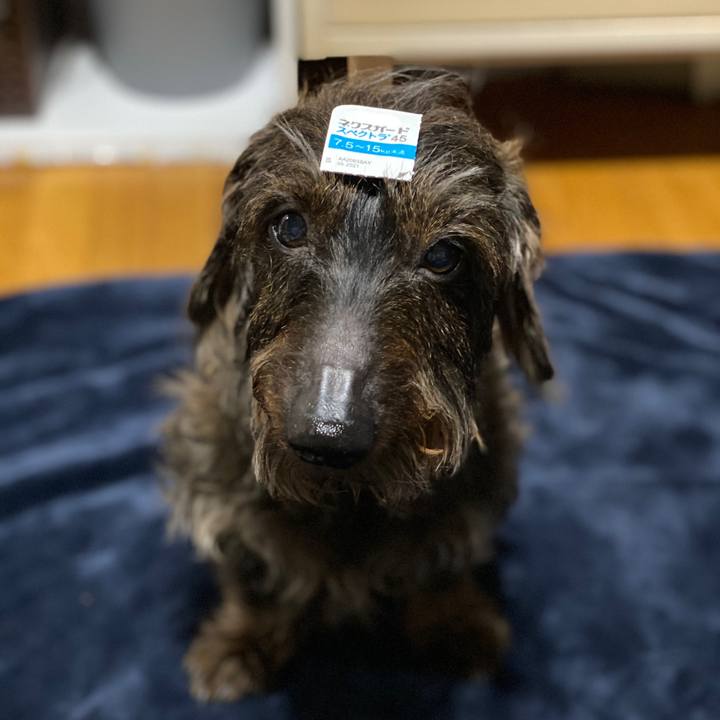 3fe25324 0719 4b5c 8dc9 db9e8db8ffc2 1588000153121