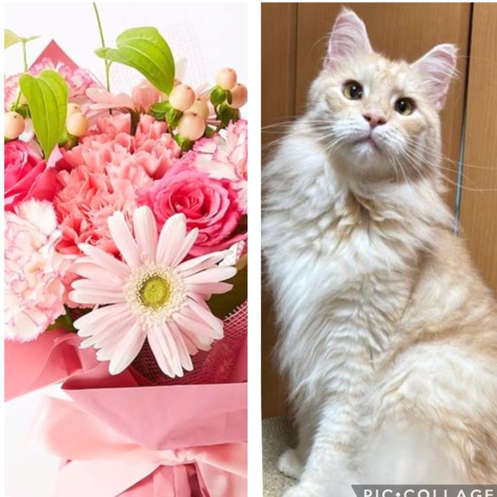 3fe28b58 7cb9 4c85 a5dc b84226cf6486 1760656541310