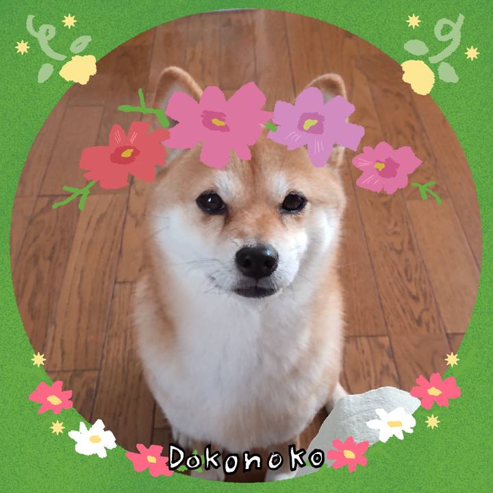 3fe30ab3 70c4 40b2 8acf 58784bef9b92 1726813260012