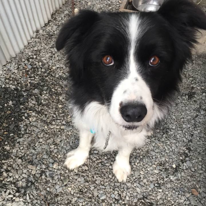 3fe30d4d 894a 4675 9723 c05dac3facec 1577234686822