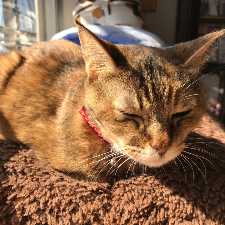 3fe30f63 d12d 49f0 abb8 f2d6dd9fe3ab 1541217885111